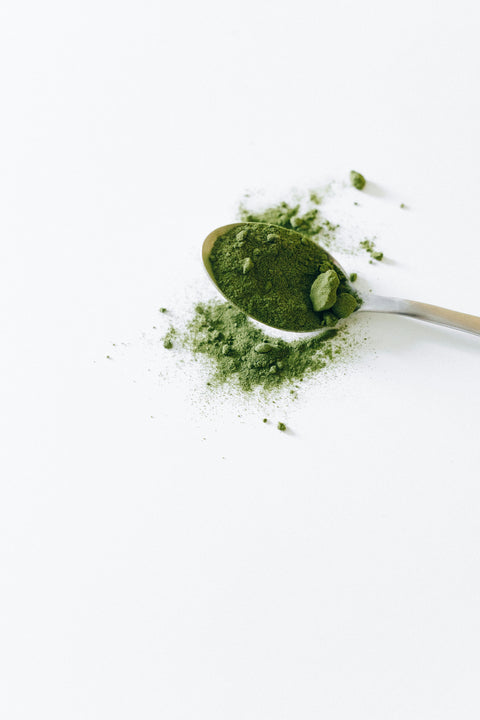 Matcha and Brain Health: What Research Shows