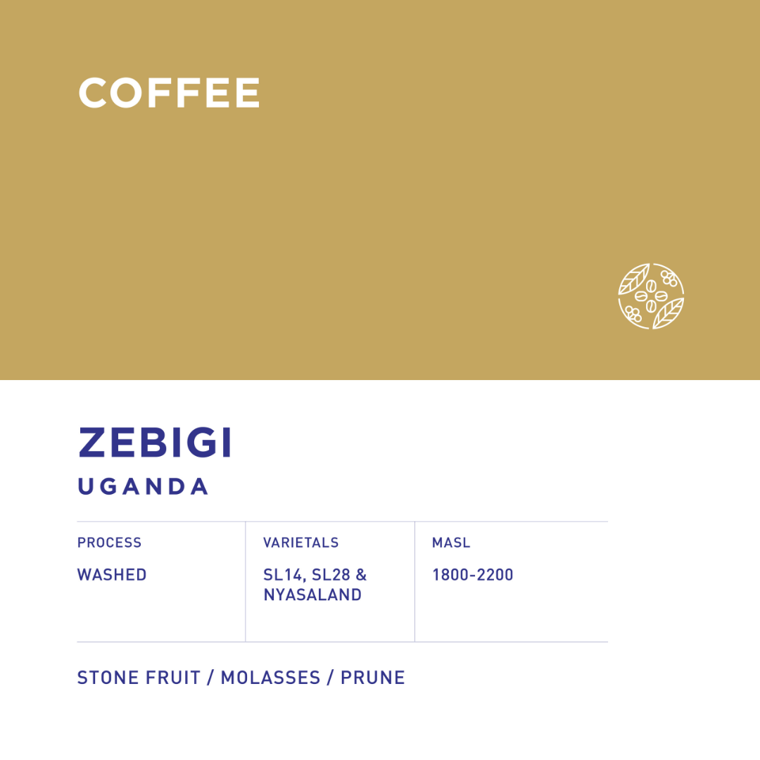 Uganda Zebigi