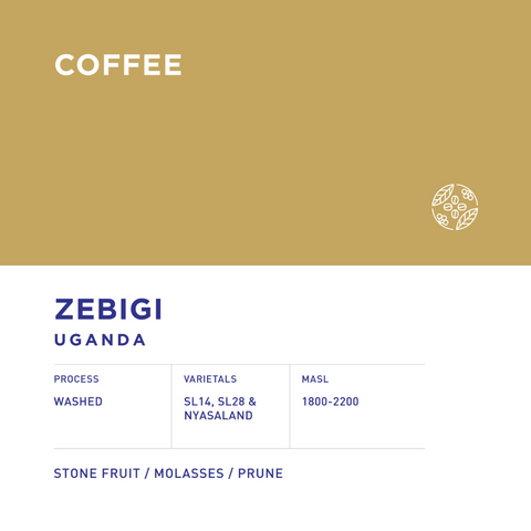Uganda Zebigi
