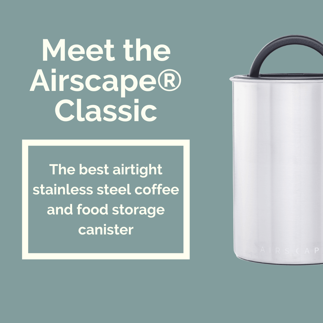 Airscape® Classic - Forest Cloud