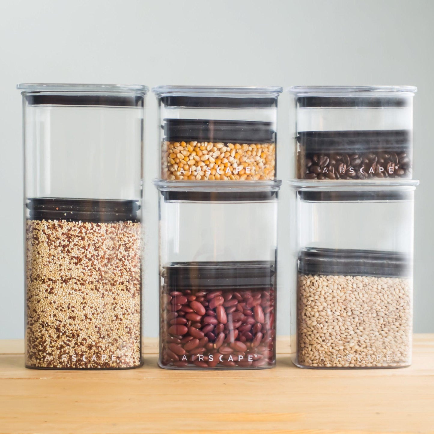 Airscape® Lite Food Storage Container - Forest Cloud