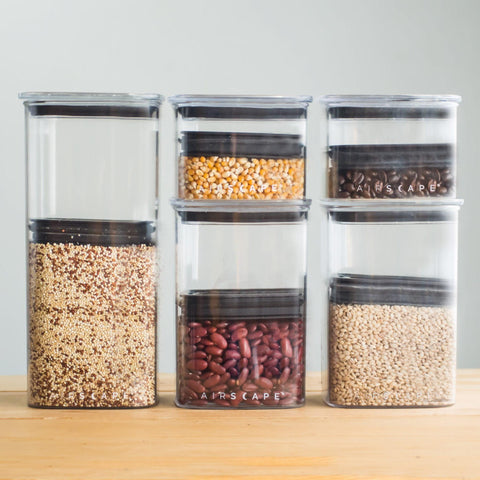 Airscape® Lite Food Storage Container - Forest Cloud