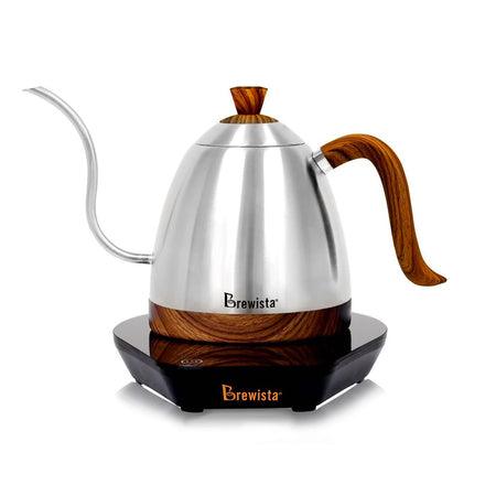 Brewista Artisan Gooseneck Variable Kettle 600ml - Forest Cloud