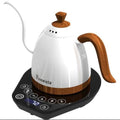 Brewista Artisan Gooseneck Variable Kettle 600ml - Forest Cloud