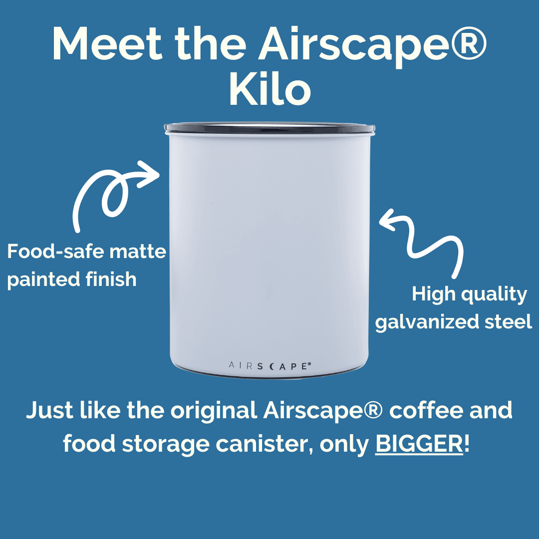 Airscape® Kilo - Forest Cloud