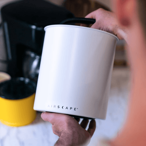 Airscape® Kilo - Forest Cloud