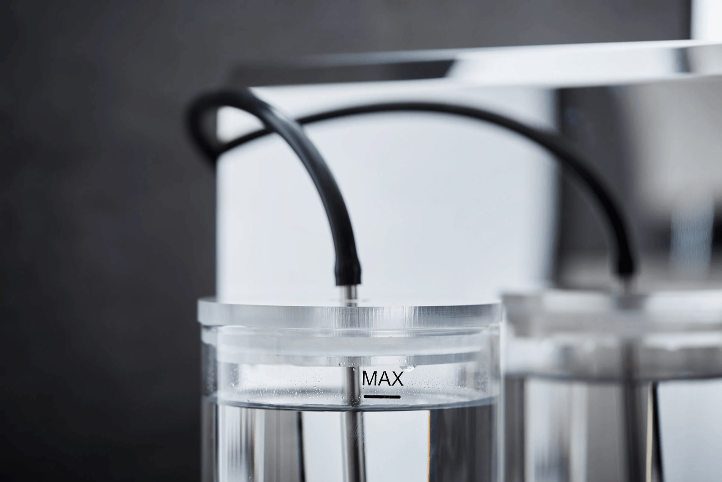 Bellezza Bellona - Forest Cloud