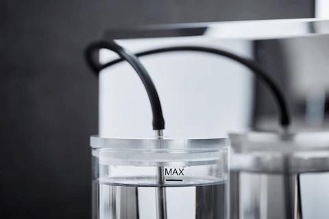 Bellezza Bellona - Forest Cloud